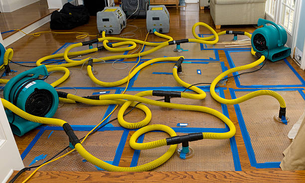 Professional Basement Flood Cleanup technician working in Kirkland, WA